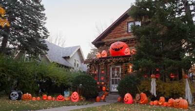 ddb 20081102 020-013